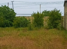 Buzovna qəsəbəsi