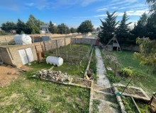 Buzovna qəsəbəsi, Albalılıq