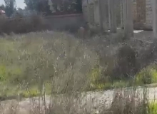 Türkan qəsəbəsi