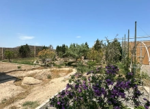 Maştağa-Buzovna yolu