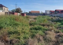 Buzovna