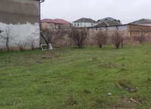 Saray qəsəbəsi