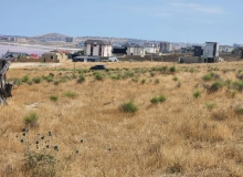 Masazır qəsəbəsi, Şəmşir Abbasov küçəsi