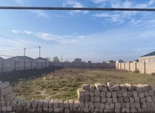 Buzovna, Binə atçılıq