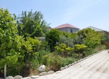 Buzovna