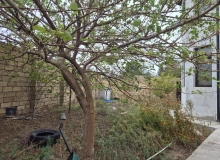 Novxanı