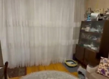 Xırdalan şəhəri Abşeron Gənclər Şəhərciyi