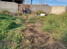 Buzovna