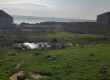 Masazır qəsəbəsi, Azadlıq küçəsi