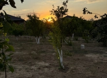 Saray qəsəbəsi