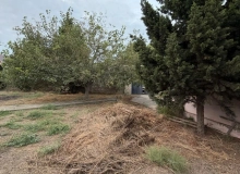 Şağan