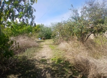 Tofiq Kazimov küçəsi