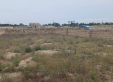 Buzovna