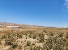 Masazır