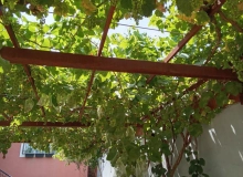 Maştağa qəsəbəsi