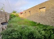 Mehdi Huseynzade kucesi