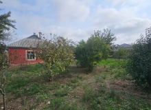 Masazır qəsəbəsi, Müşfiq Vəliyev küçəsi
