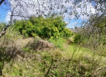 Tofiq Kazimov küçəsi