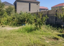 Masazır
