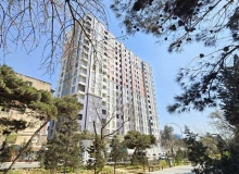 8-ci km, A.Manafov