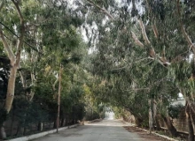 Şüvəlan