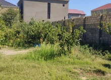 Masazır