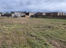 Albalılıq qəsəbəsi