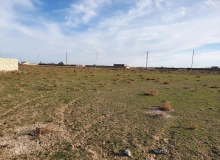 Sumqayıt. Yaşma bağları. Maarif BY 813