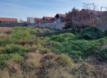Buzovna
