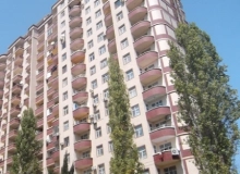 M. Cəlal küçəsi