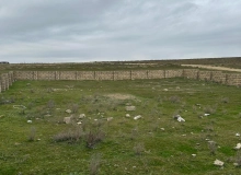 Saray qəsəbəsi, Polad Həşimov küçəsi