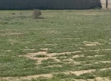 Suraxanı rayonu, Hövsan südçülük sovxozu ərazisi