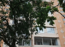 İcarəyə verilir Yeni Günəşli qəsəbəsi, V massivi