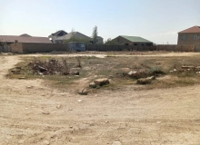 Saray qəsəbəsi, Polad Həşimov küçəsi