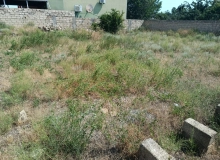 Saray qəsəbəsi