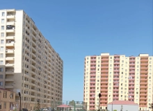 Saray