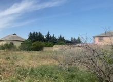 Novxanı, Qurd dərəsi bağları