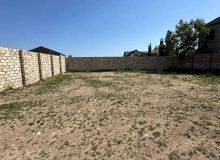 Buzovna qəsəbəsi, Albalılıq