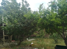 Sabunçu rayon Maştağa qəsəbəsi