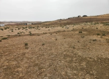 Masazır, Polad həşimov küçəsi