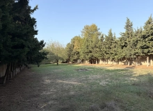 Bilgeh 19 ci dalan