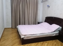 Yeni Günəşli V massivi