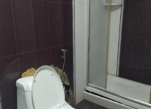 Xiyabani kucesi