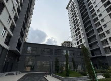 Şərifzadə küçəsi