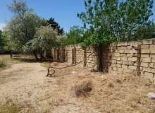 Abşeron r. Görədil q. Görədil bağ massivi