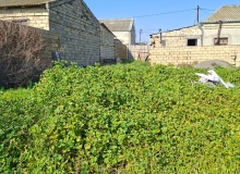 Saray qəsəbəsi, Molla Pənah Vaqif küçəsi