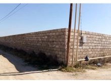 Buzovna, Binə atçılıq