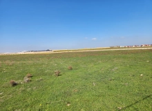 Masazır qəsəbəsi, Ağaxan Abdullayev küçəsi