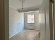 Saray