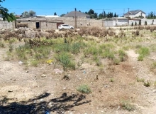 Xəzər rayonu, Albalılıq qəs